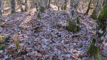 Martinzarreta tumulua, Arriola-Asparrena