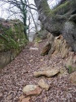 Harrizko estrataren beste pasarte bat Irazabalgo bidean