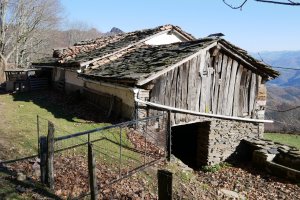 Leoleko borda Aurkidi aldean