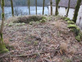 Aranea karobia, Bertiz-Bertizarana