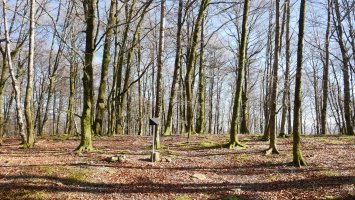 Iparraldeko bizkarreko  gain zabala