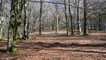 Lexarburu gailurrerako azken txanpa HMko bizkarrean gora