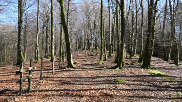 Lexarburuko Mko bizkarrreko pasarte bat