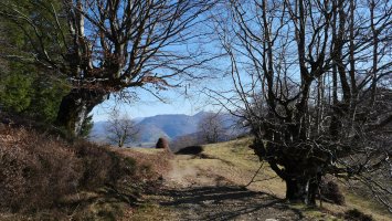 Otxoneko lepora heltzen