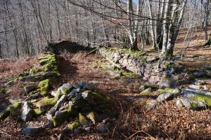 Borda baten aurriak Arrileuneta gainean