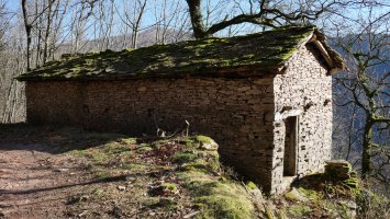 Beste borda bat bide bazterrean