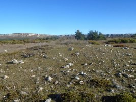 san lorenzo trikuharria