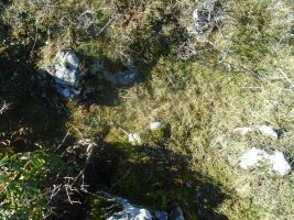 san lorenzo trikuharria