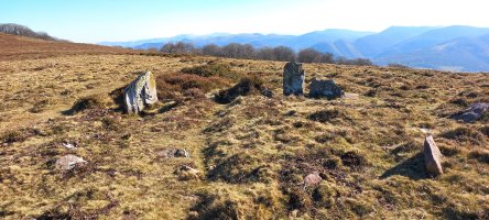 Olegiko lepoa harrespilak