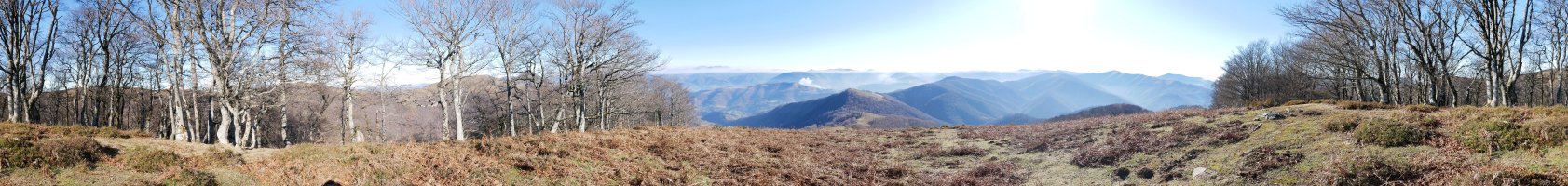 Iramendi gaineko panoramika