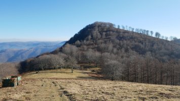 Lizartzeta, Arlepo aldetik ikusita