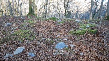 Biamendiko Bizkarra trikuharria