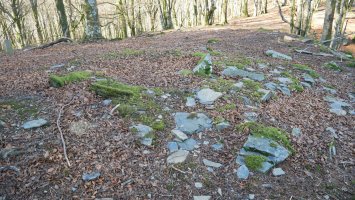 Biamendiko Bizkarra trikuharria