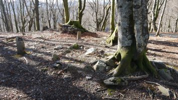 Biamendiko lepoa harrespila