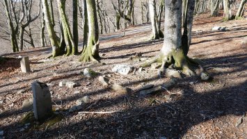 Biamendiko lepoa harrespila