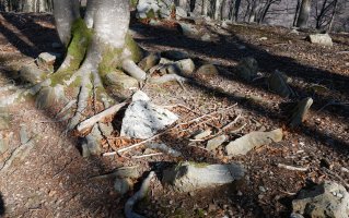 Biamendiko lepoa harrespila