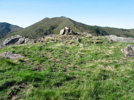 Oltzorrotz gaina 2005ean