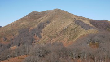 Ekaitza neguan, Oltzorrotz haitzetik