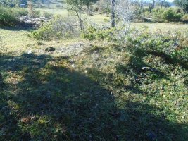 paso de campullido 4