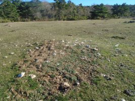 paso de campullido 5