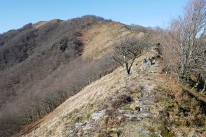 Arainburu Ekaitza aldeko bizkarretik