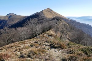 Ekaitza aldeko bidea