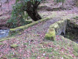 Errotako Zubia, Arano