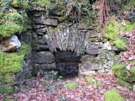 Erbizin karobia, Arano