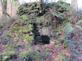 Erbizin karobia, Arano