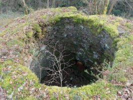 Erbizin karobia, Arano