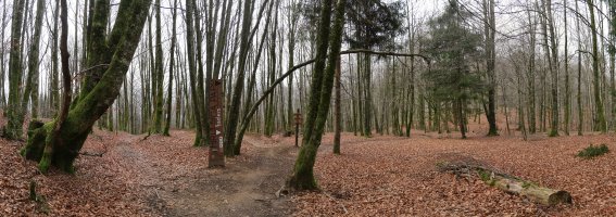 Hirumuga Bike Park, mendiko bizikletentzako ibilbidearen hasiera, Basakaitz