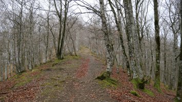 Tontorrerako bidea, HEtik, Basakaitz