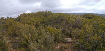 Gailurra, tako geodesiko batekin