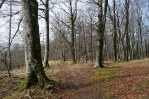 Arruitzgain aldeko bizkarrean barrena