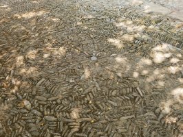 San Migel eliza, Jaitz