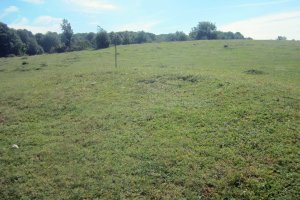 Fondo de Cabaña Las Choas (26-06-2021)