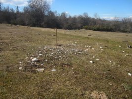 Campo Tumular Senda de Calleja nº 3 (Febrero 2022)