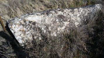 Monolito  Onceta  (Febrero 2022)