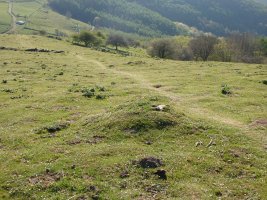 Campo tumular BELAURIATE