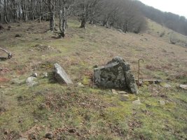 Dólme Tranpa Lepoa  (Marzo 2022)