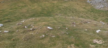 Atallorbe tumuloa (2022)