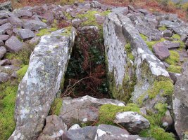 Aznabasterra trikuharria, Erratzu-Baztan