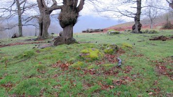 Aitzpulun tumulua, Erratzu-Baztan