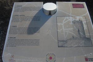 Rada Torreón  (Diciembre 2019)