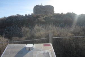 Rada Torreón (Diciembre 2019)