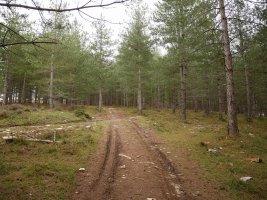 Hego-mendebaldeko bidea