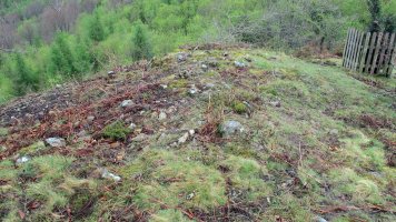 Urtsua tumulua, Etxalar