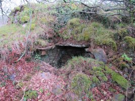 Urtsua karobia, Etxalar