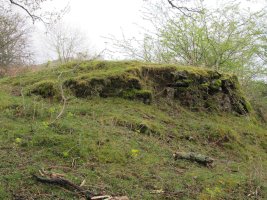 Urtsua karobia, Etxalar