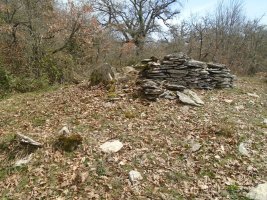 komostarri trikuharria